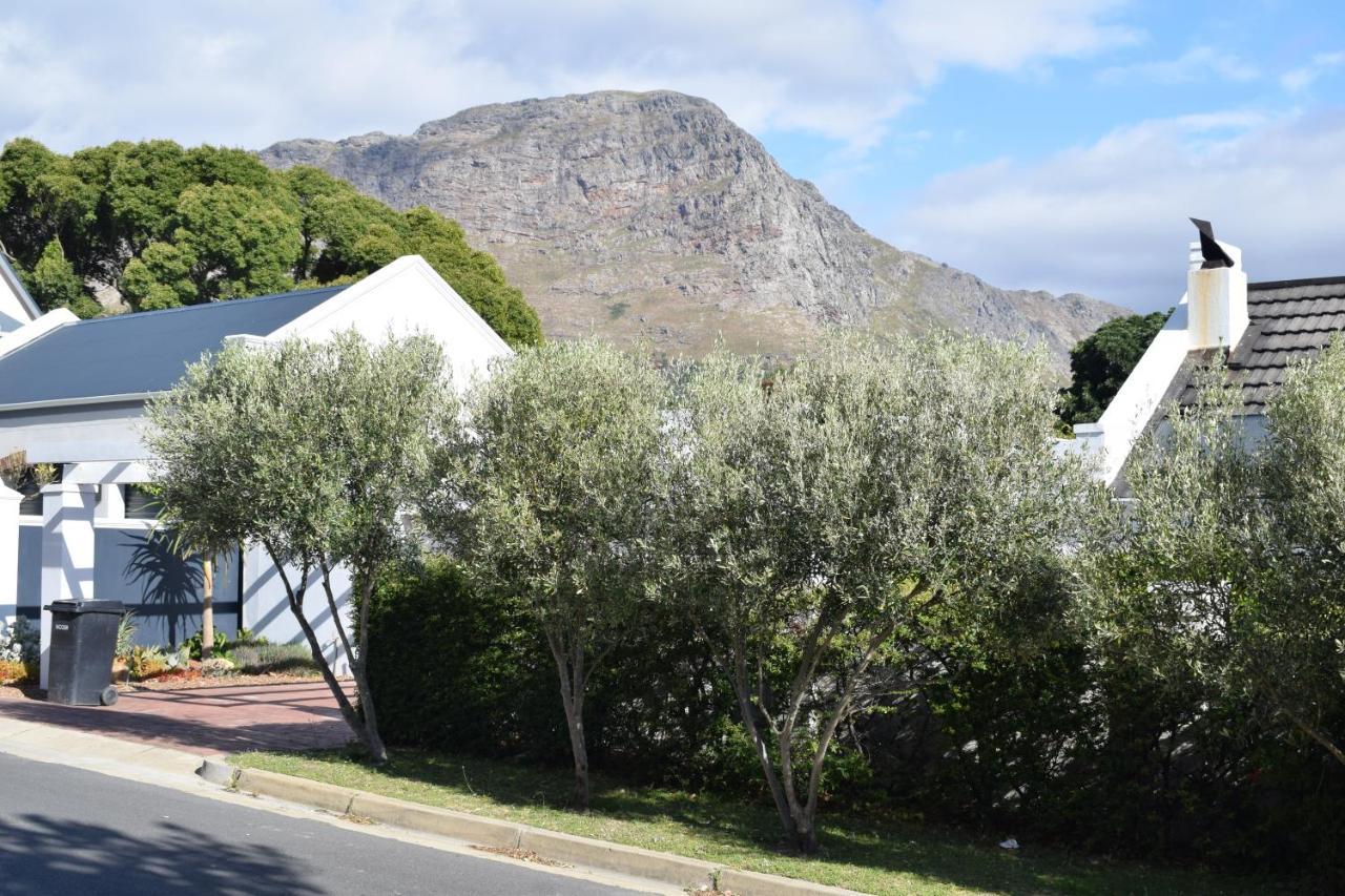 Protea Studio Franschhoek Central Exterior photo